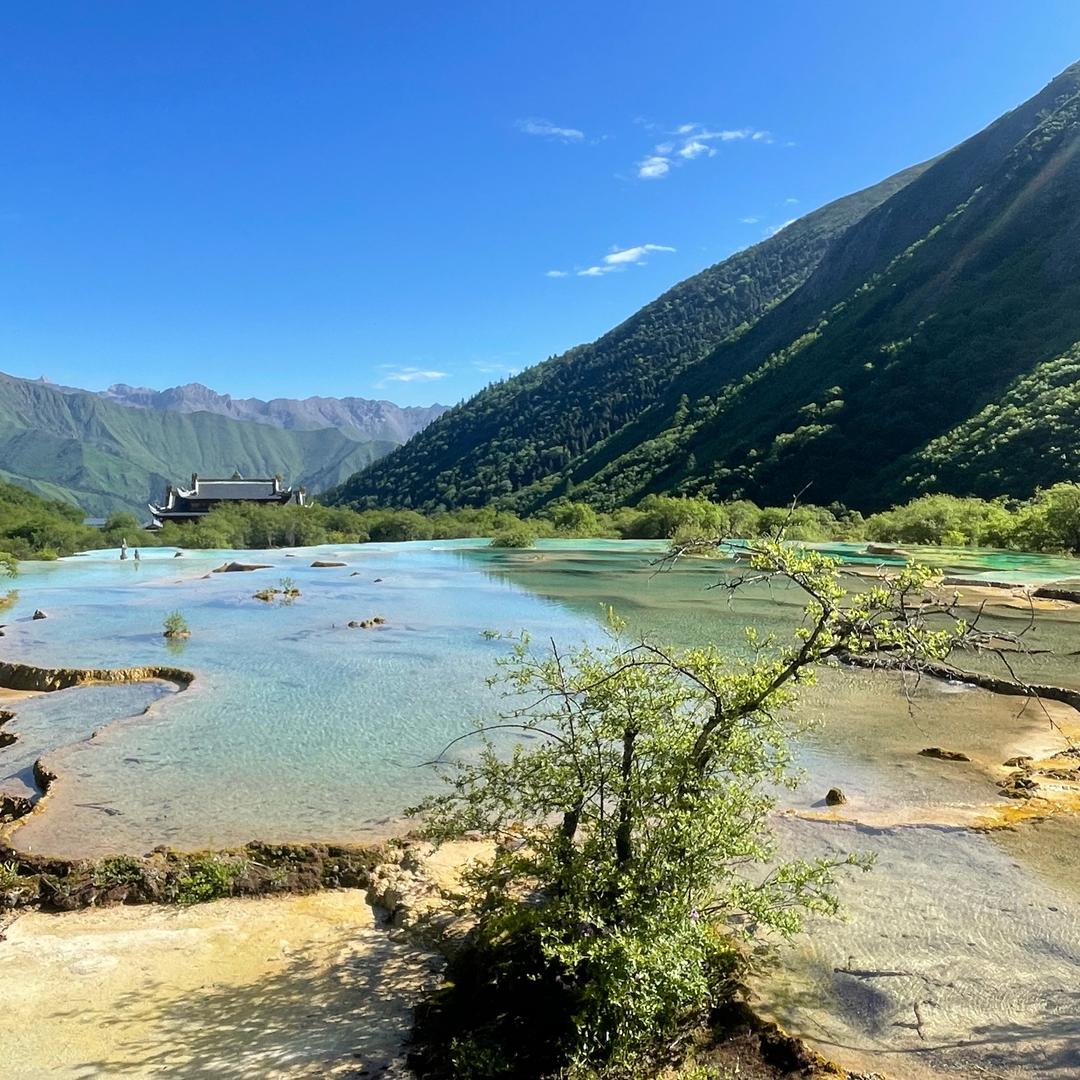 小王同学