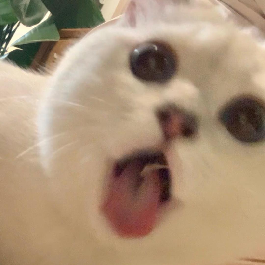 超级无敌爆炸大美女