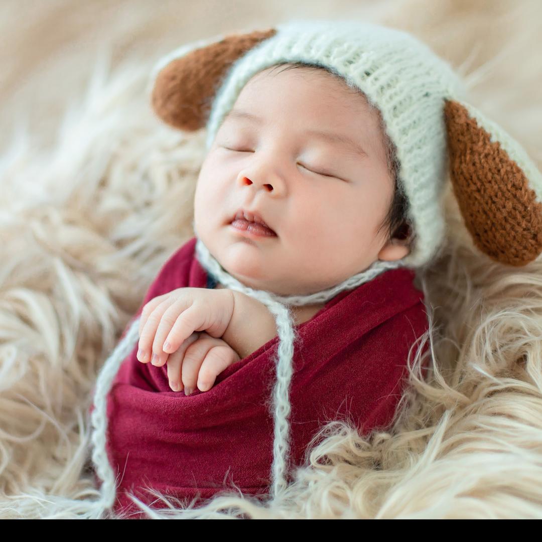 申象草莓采摘园