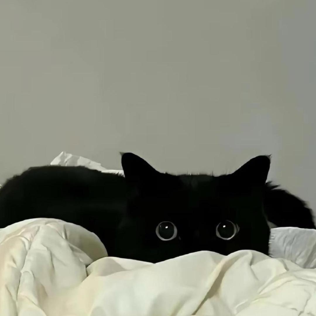 🧿शीतवन Bż🅴