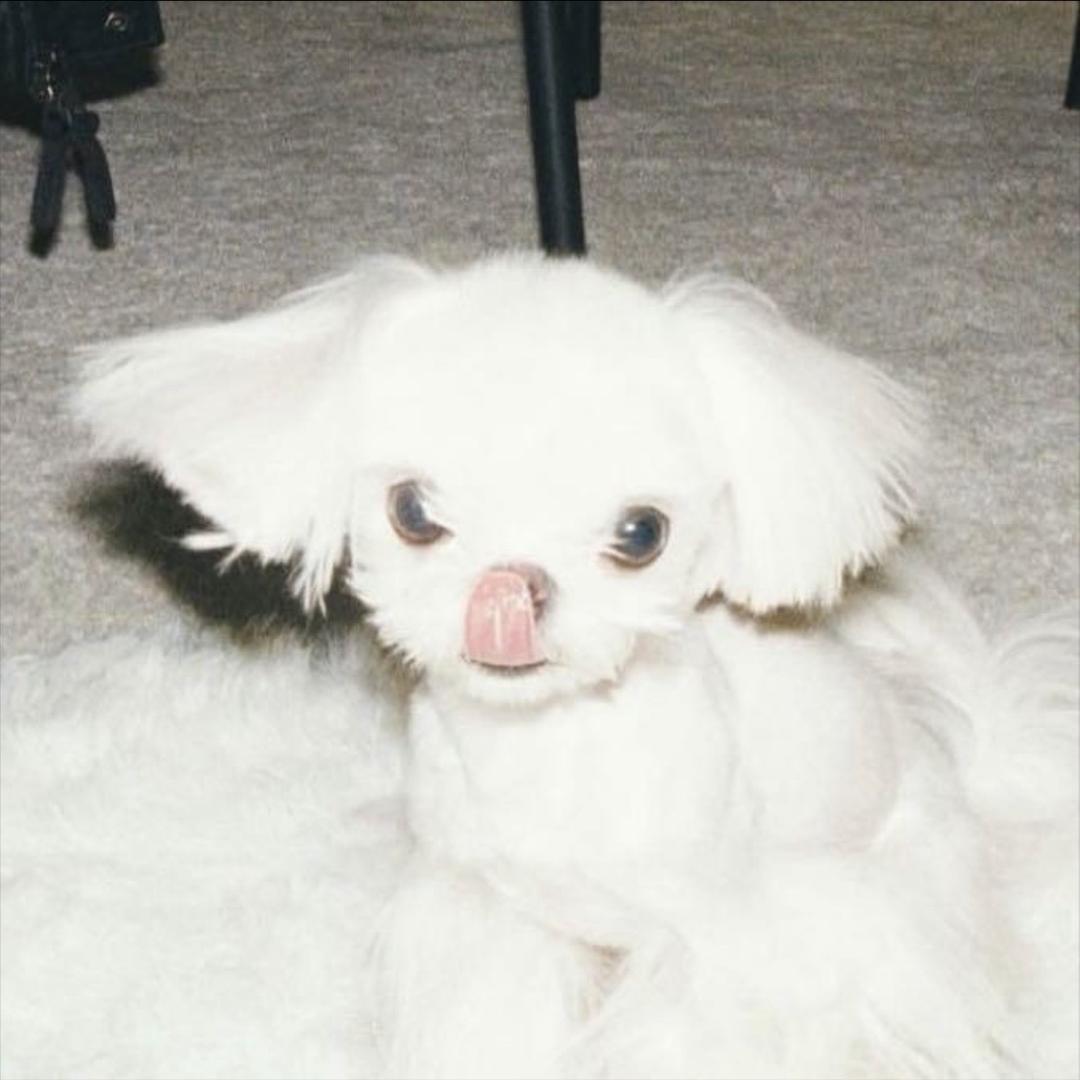 我还没想好叫什么