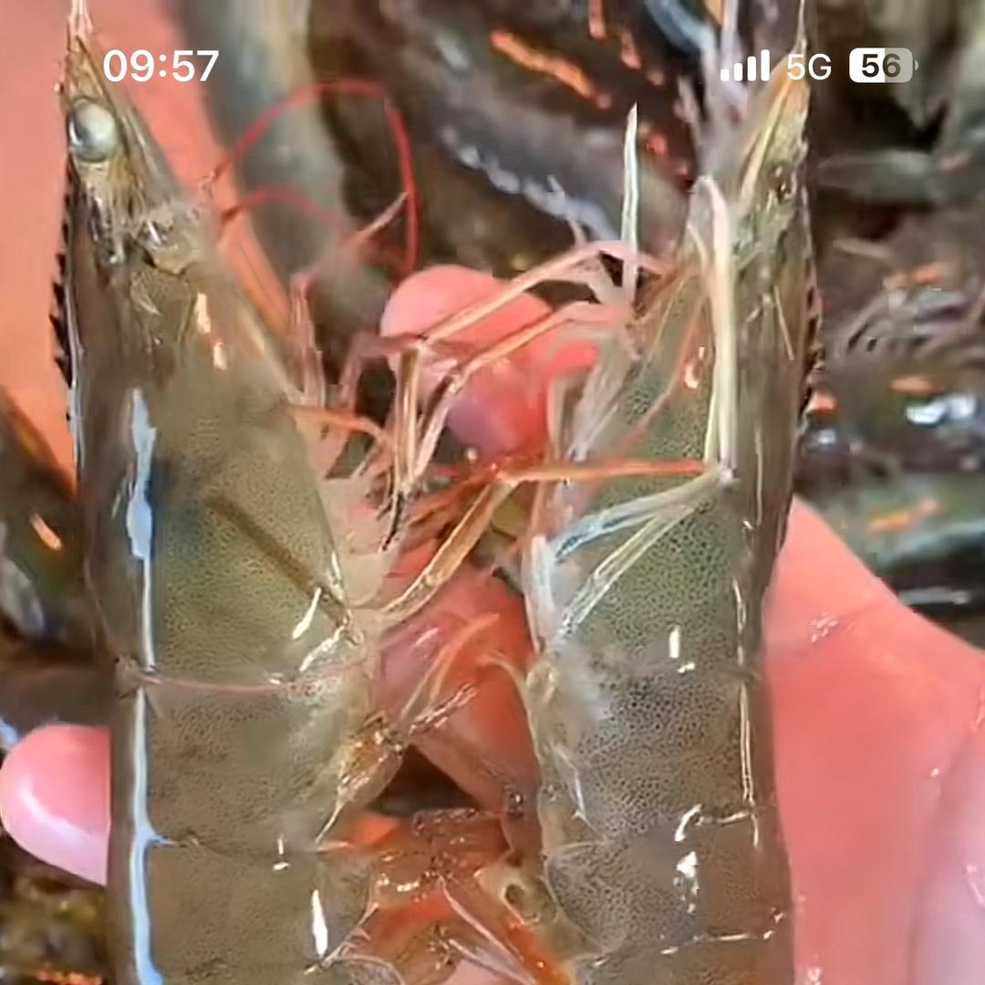 瑞沅生鲜之家