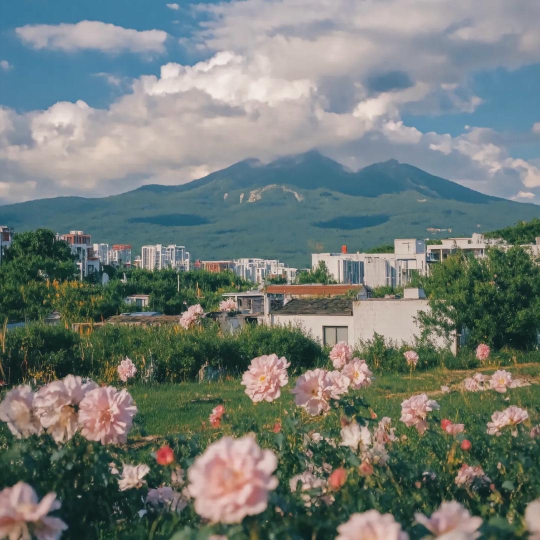 旅行多巴胺工厂