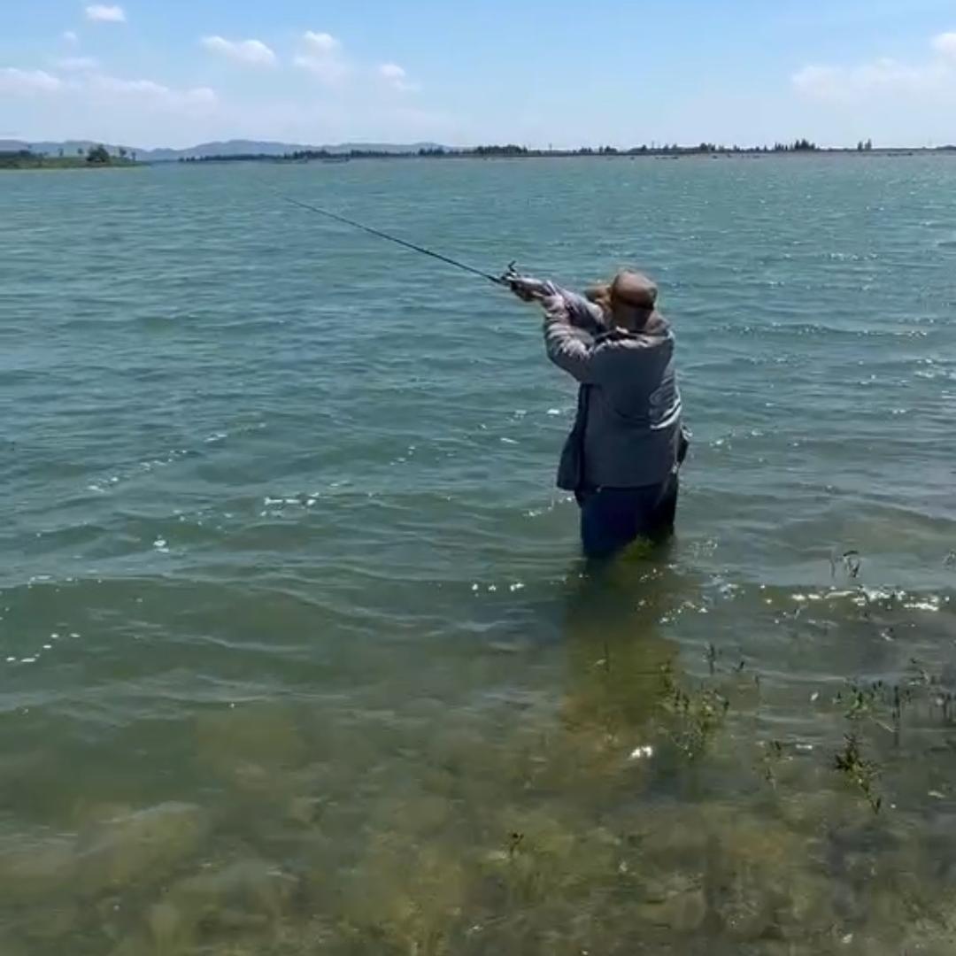 划船এ᭄不用桨（团结圩大闸蟹）