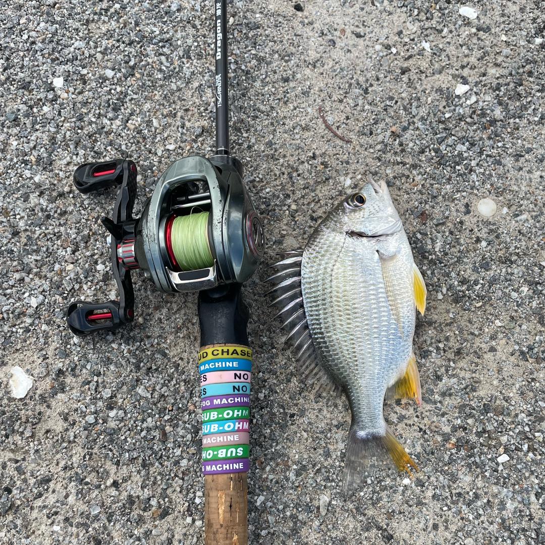 三木钓鱼🎣