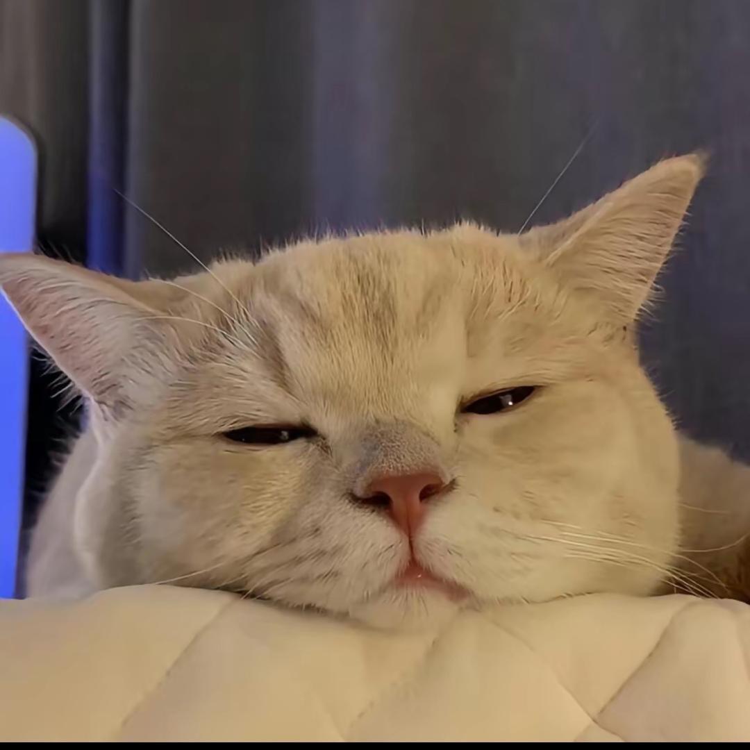 反手一个煤气罐
