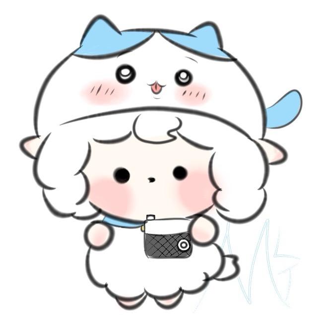 ᨳ꒰ᐢ • ˕ • ᐢ꒱ꢆ