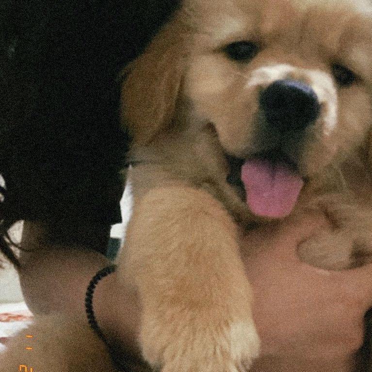 百威啤酒的百威