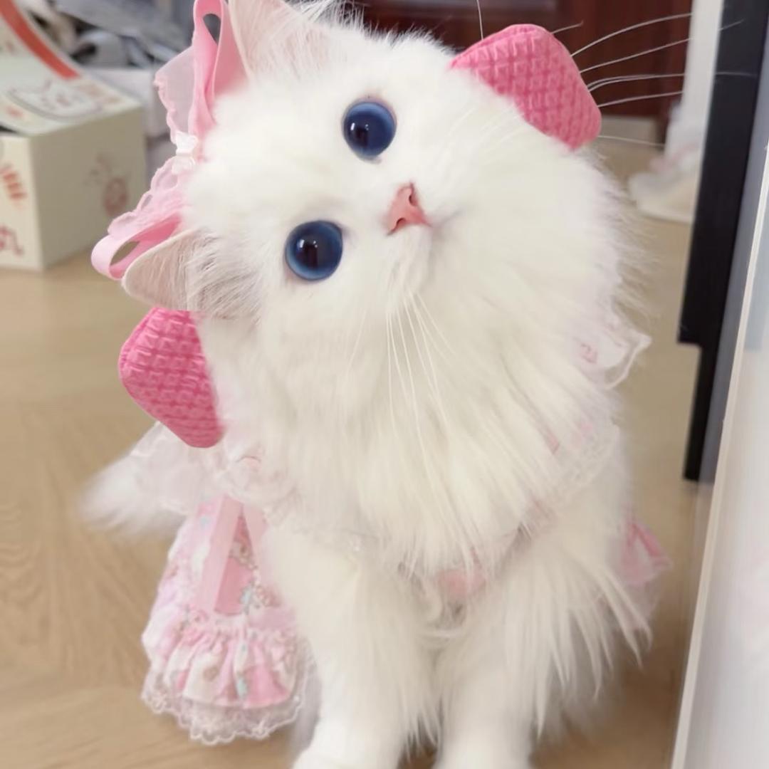 哈喽👋👋