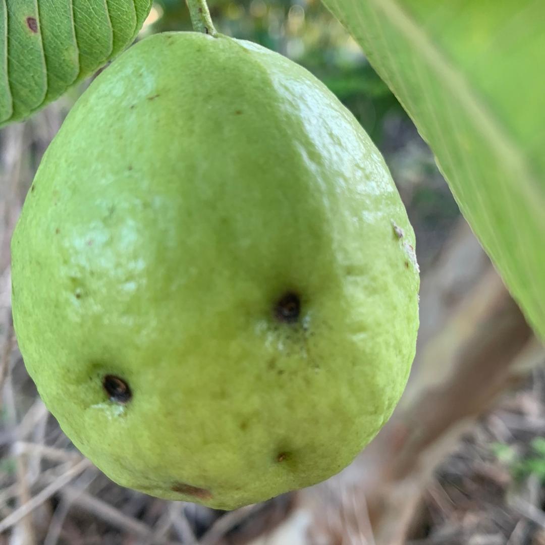 時代在變，人在變