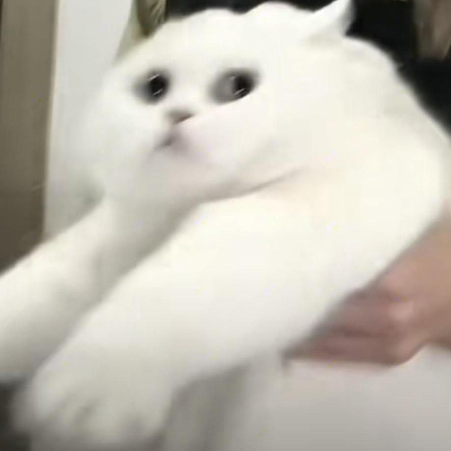 三四