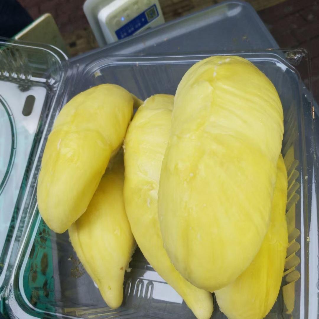 百鱼上岸（马牌）供应商【海钓观光俱乐部】