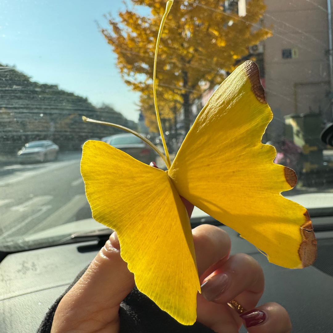 娜娜的隐花谷