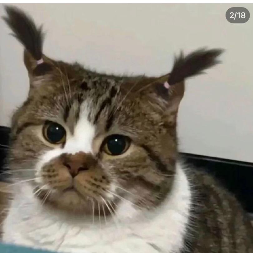 小土豆啊是小土豆呀