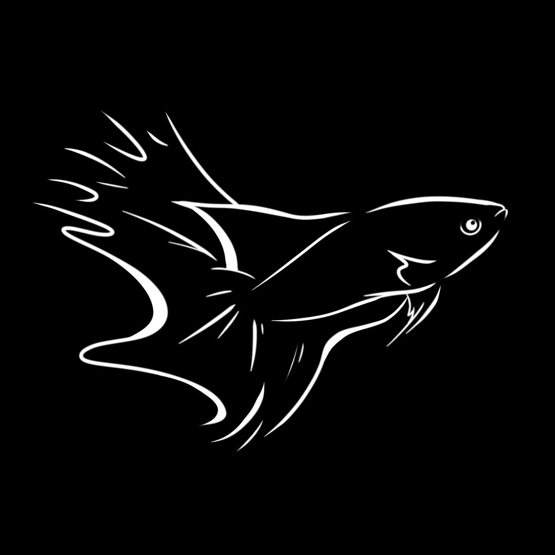 万顺精品斗鱼馆