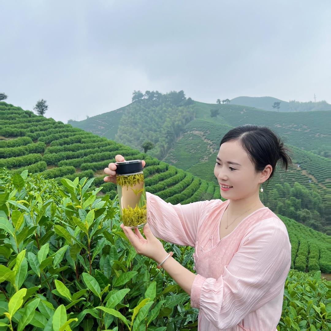 安吉茶菇娘