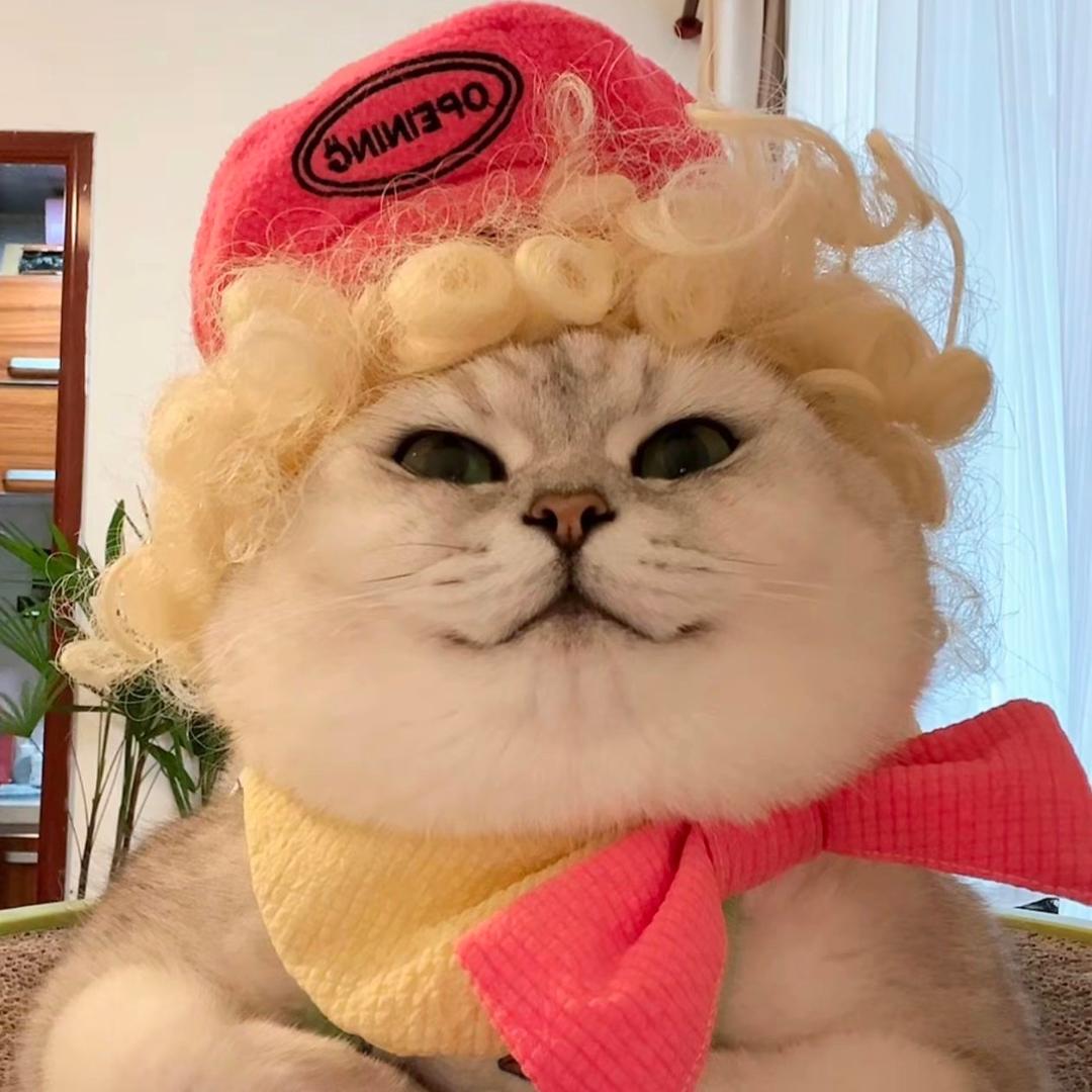 朴
