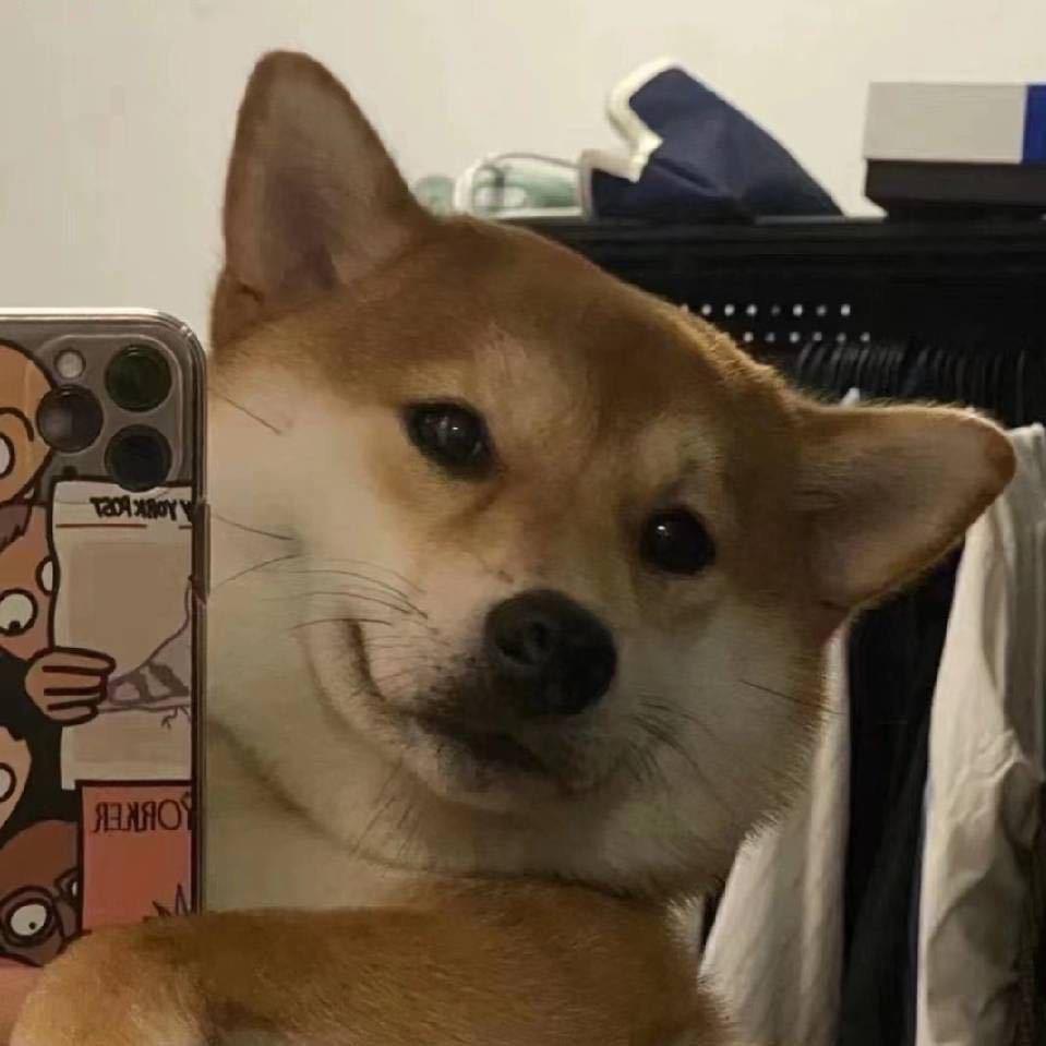 志豪