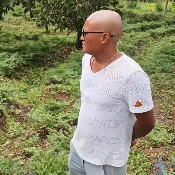 杨氏中药材种植