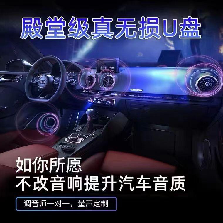 振音车载音乐U盘