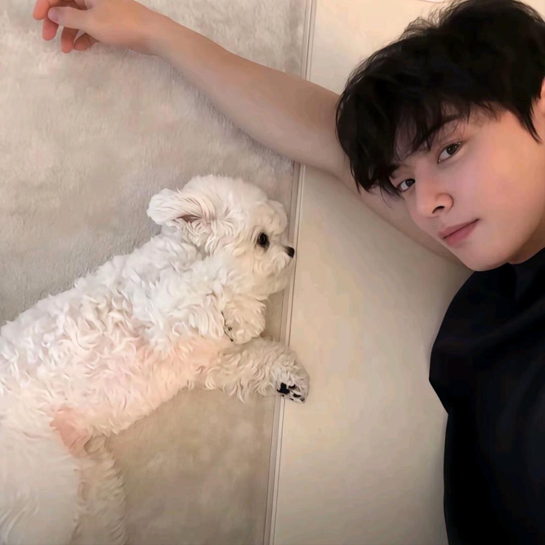 伤心蛋挞（见过汪苏泷版）