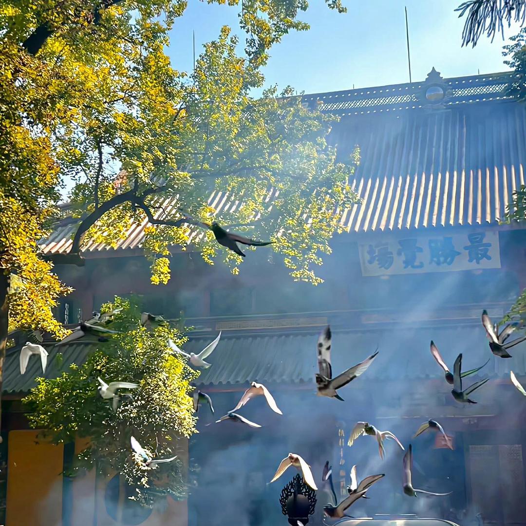 凡尘