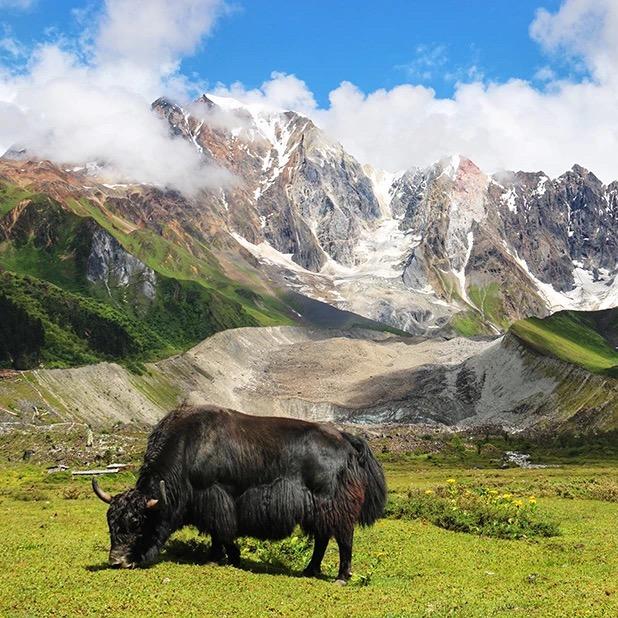 🌏行程浪子🌎