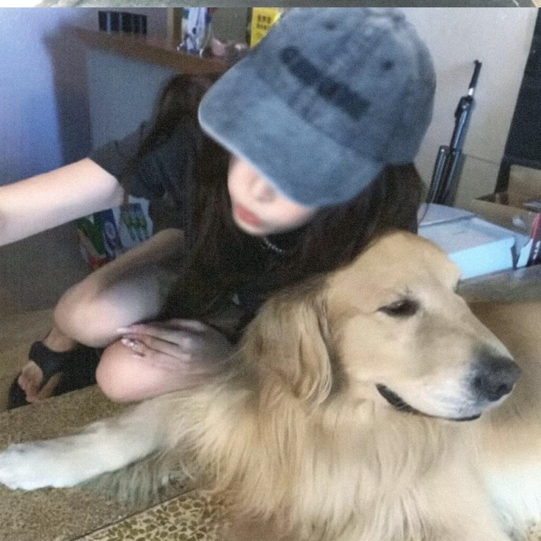 超级无敌豆沙包