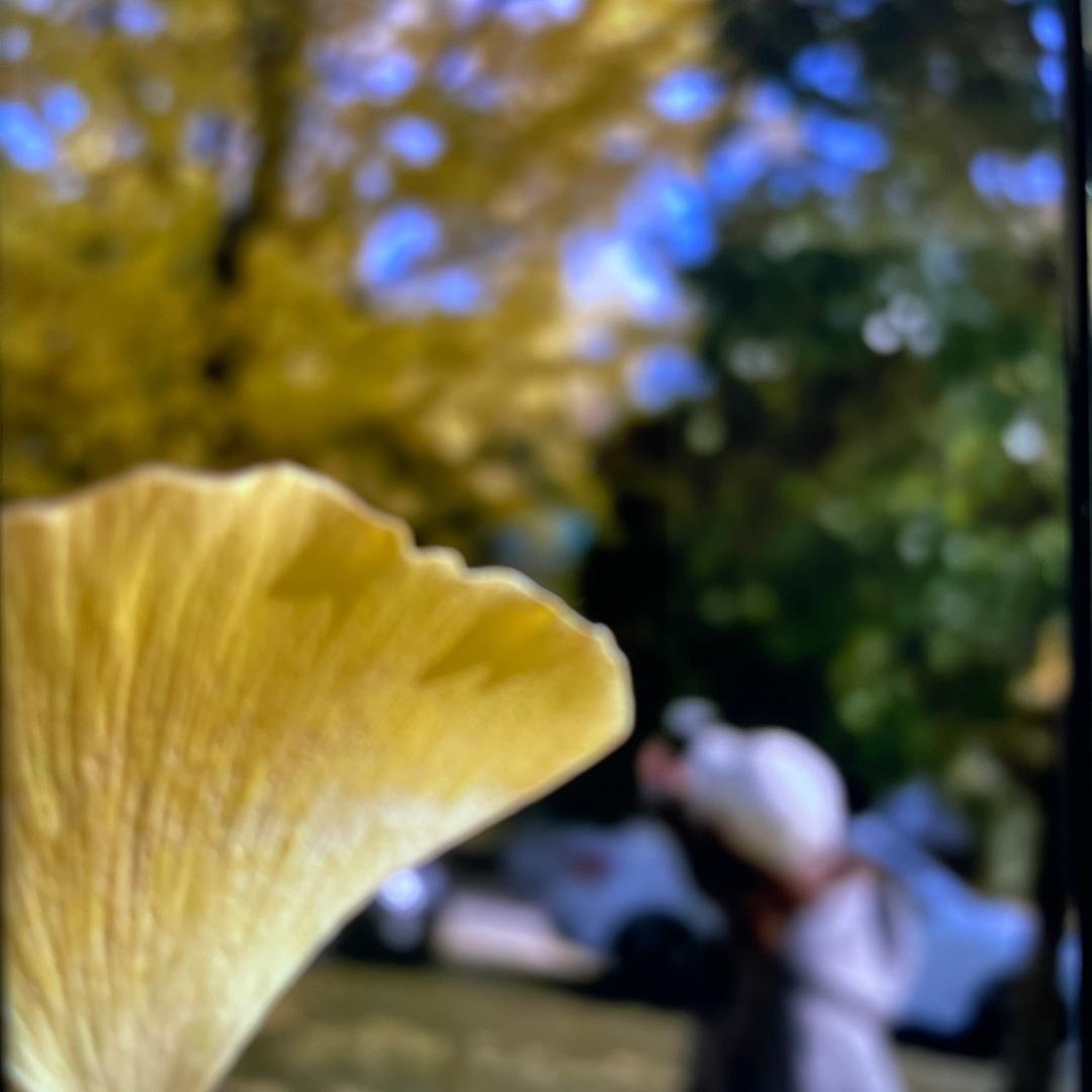 郑老师的数学课堂