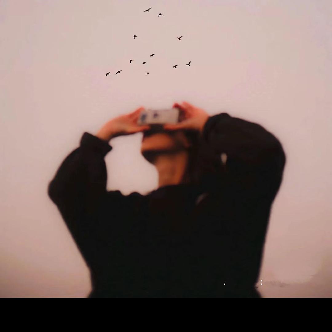 枫.🍁