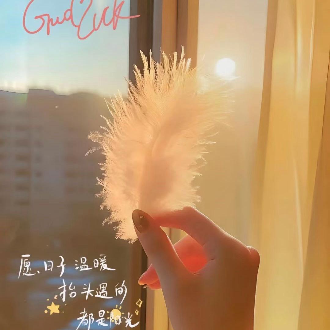 我爱梦