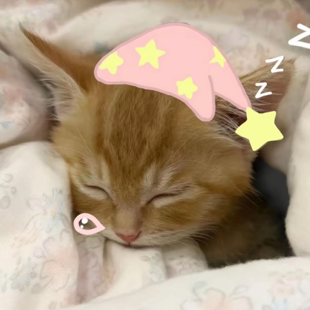 晚一些.