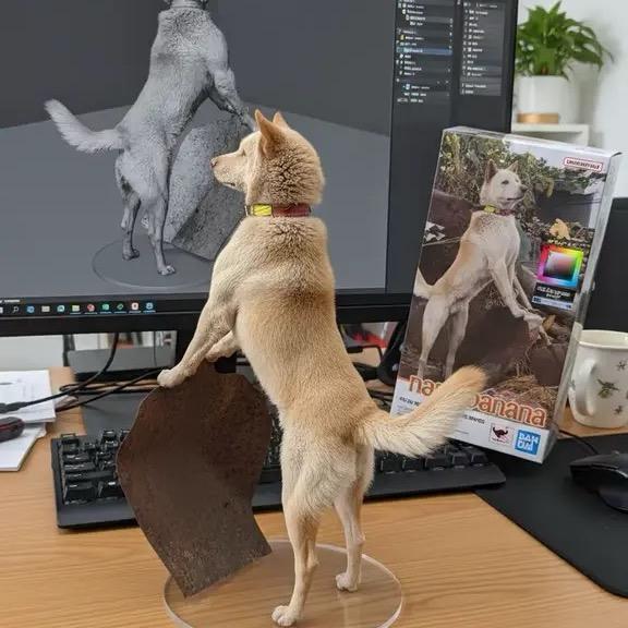 广西土猎小杰