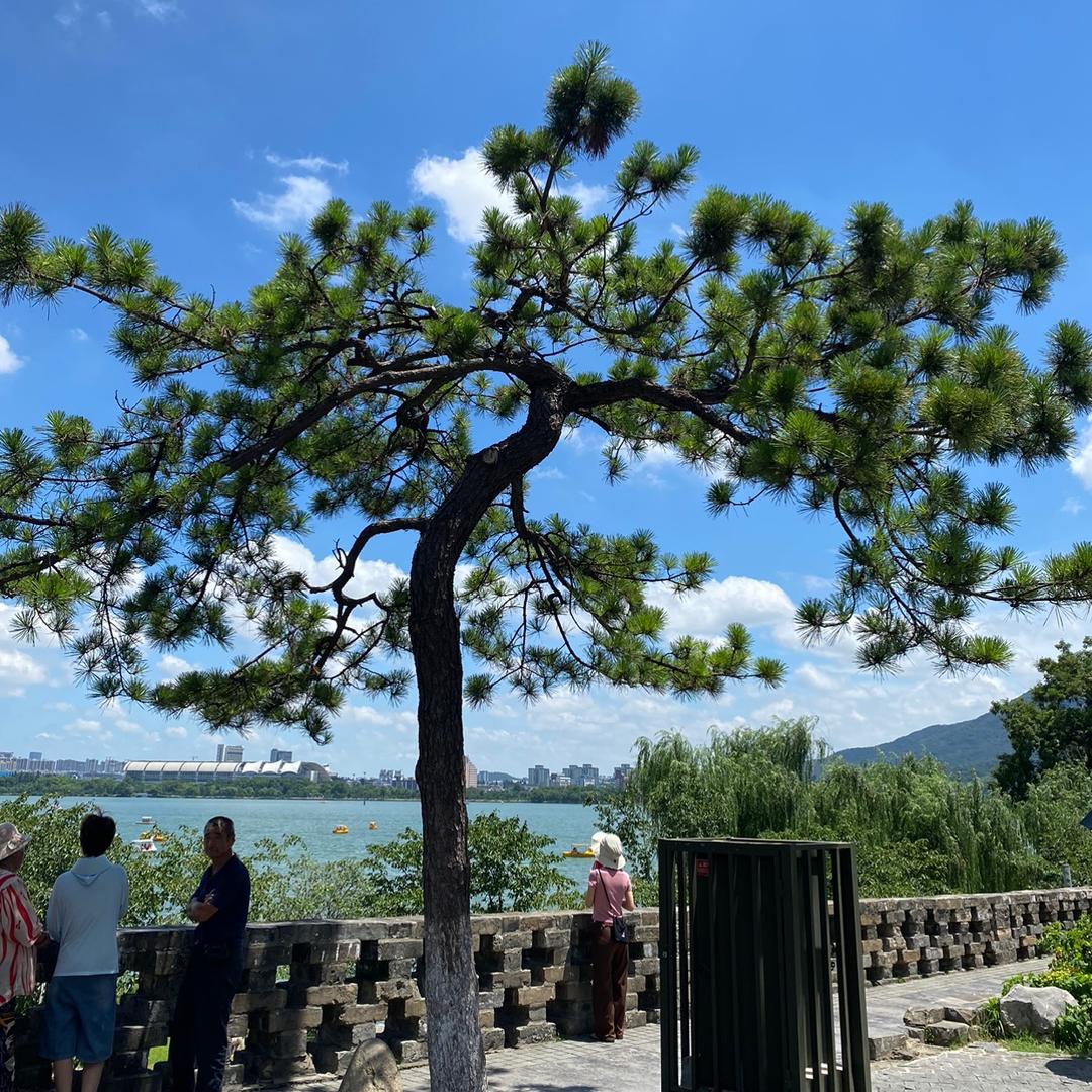 碧水天蓝