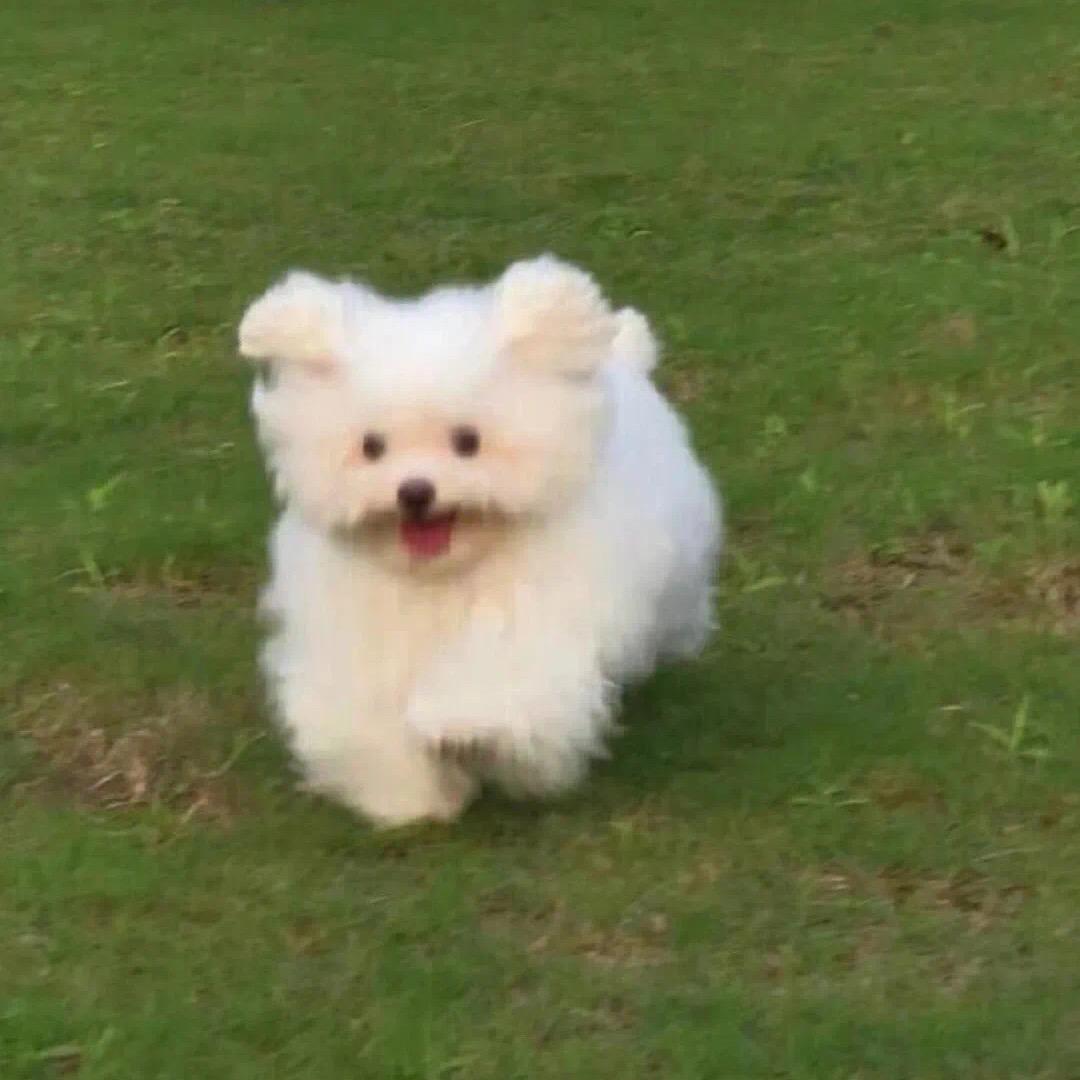 是康子呀🇨🇳