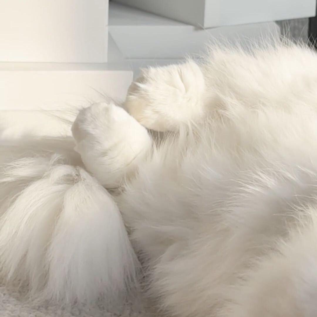 ￴ ￴ ￴￴ ￴ ￴ ￴