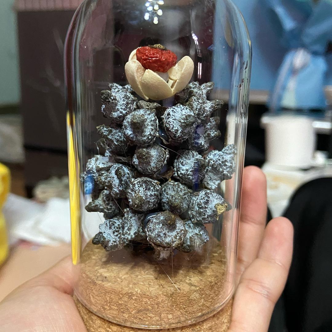 冰箱贴小孩