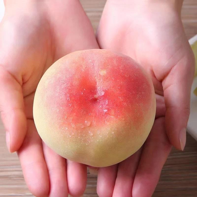 果果阖生鲜
