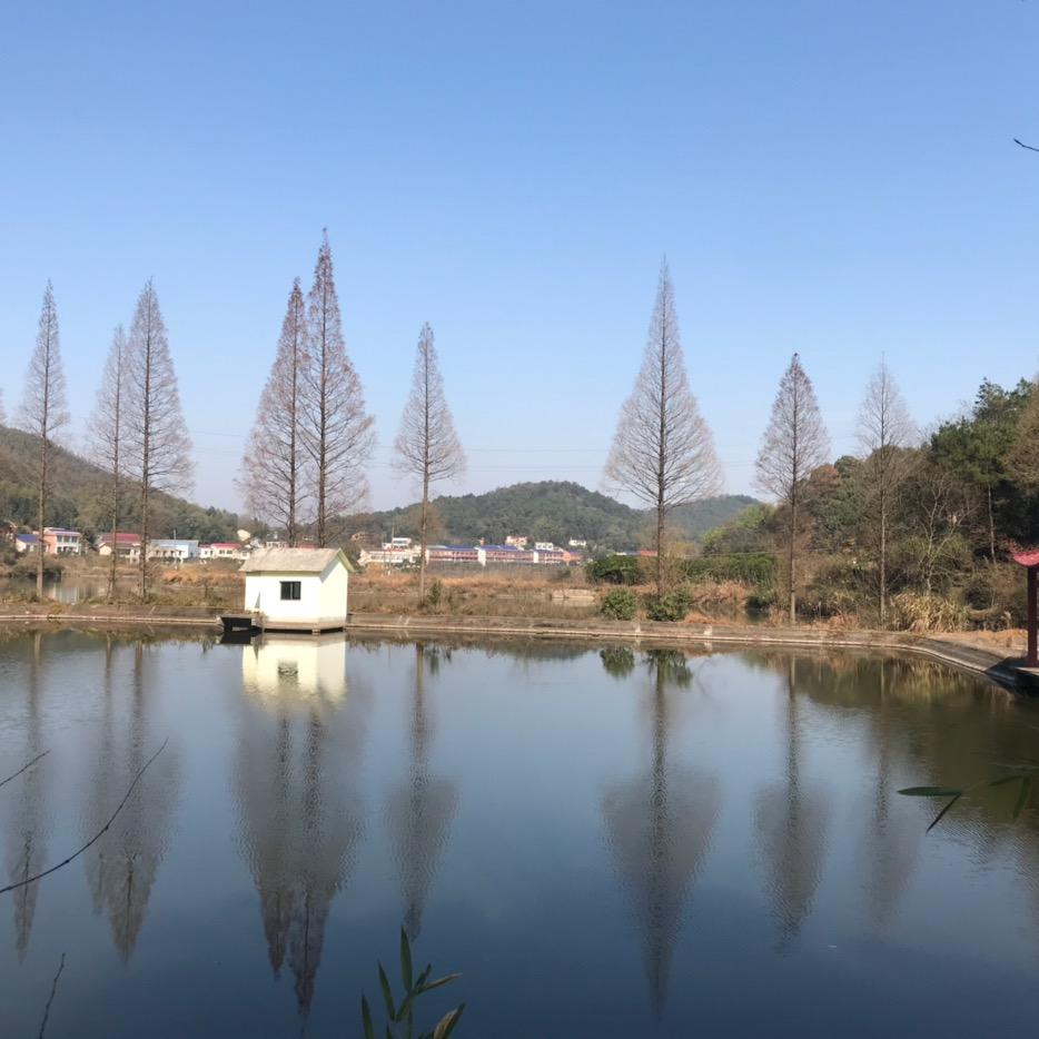 海嗨
