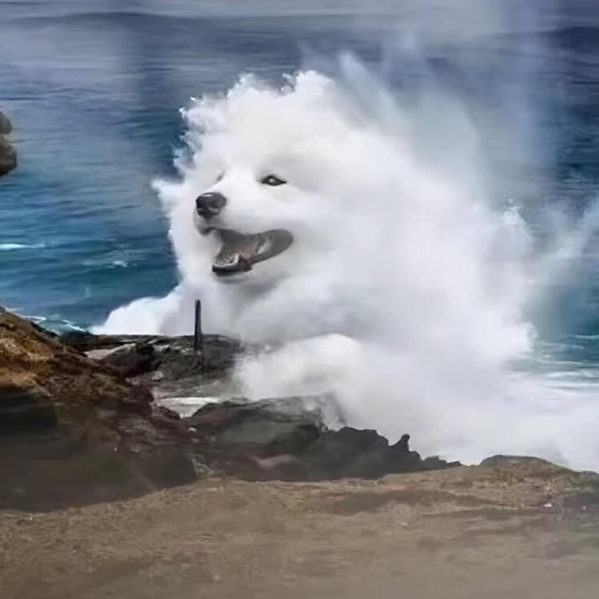 nuyoah