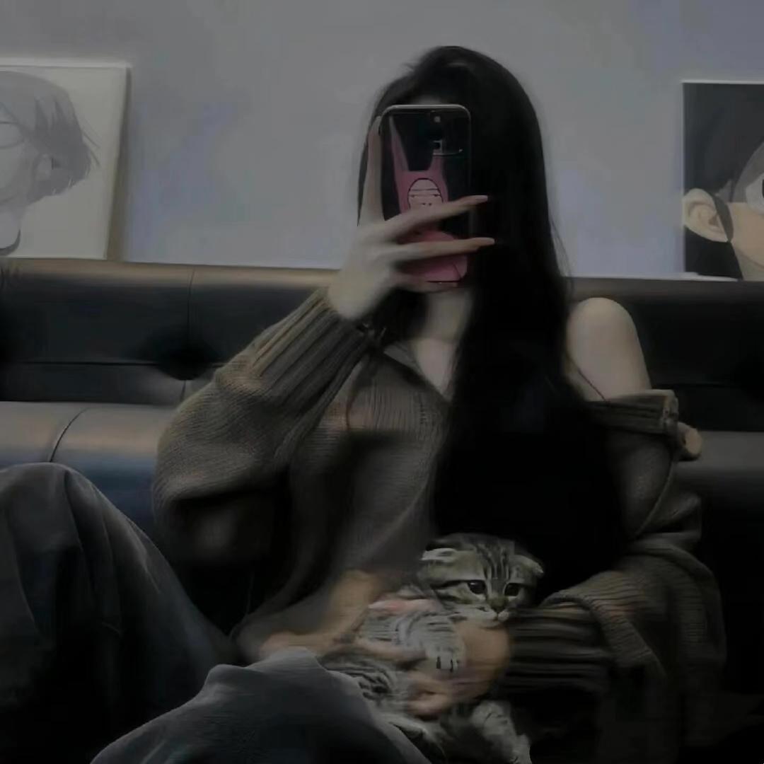 黑色捷达