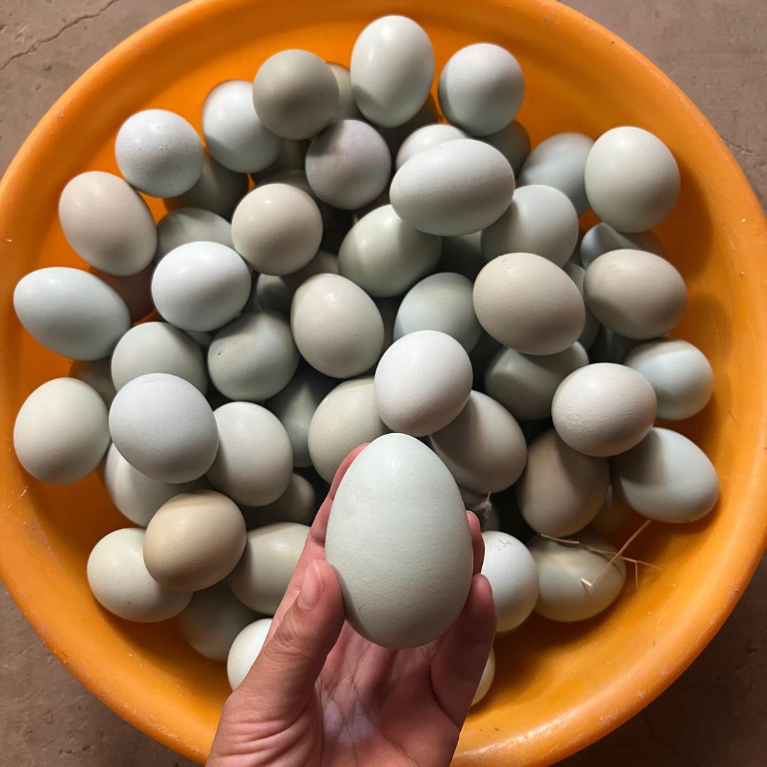 好运来农产品铺（蛋总）