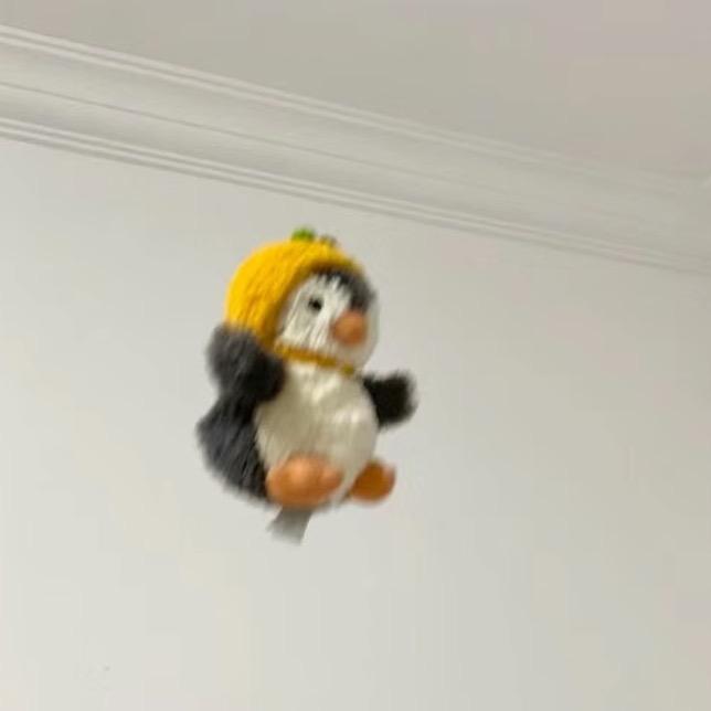 为笨蛋争口气 🐻