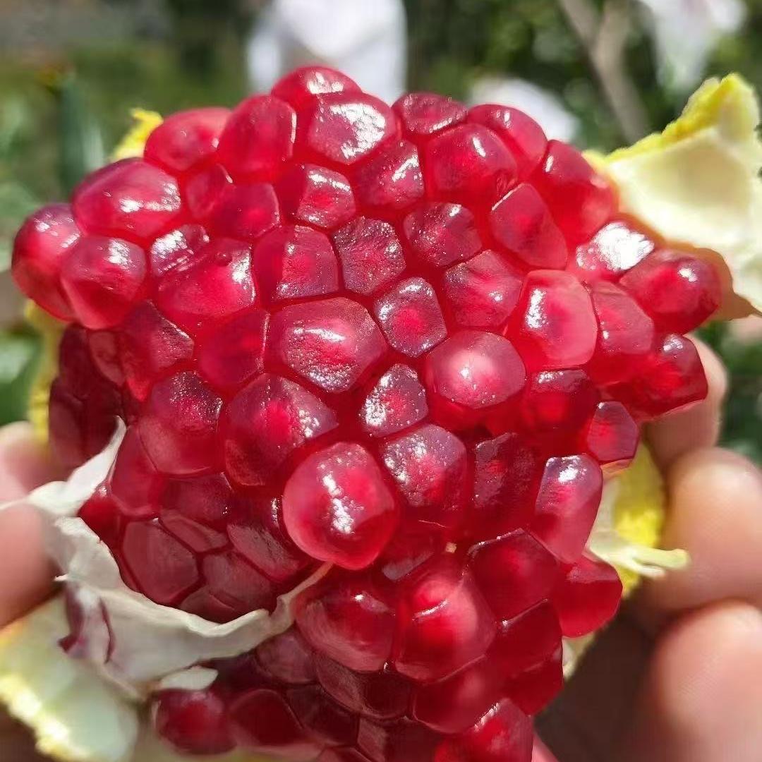 甄果庄园生鲜店