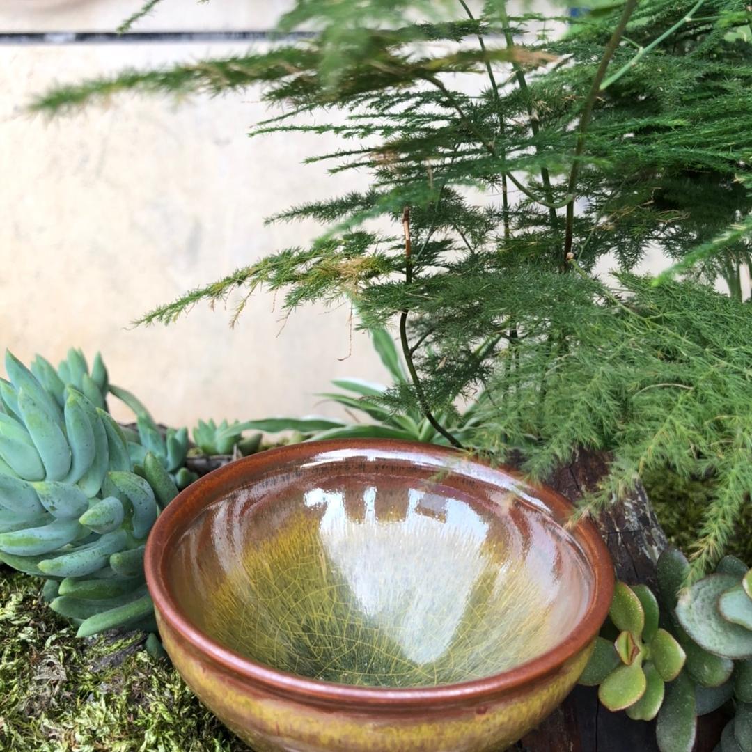 茗茶寻杯