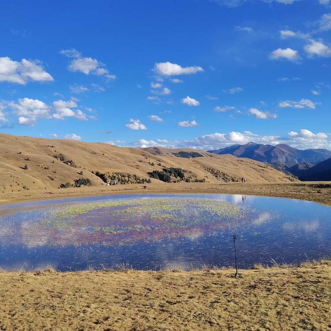 蓝色的阿尔卑斯