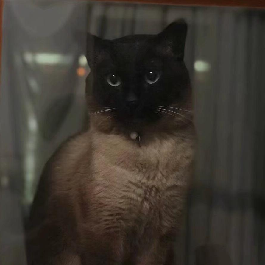 小可说剧