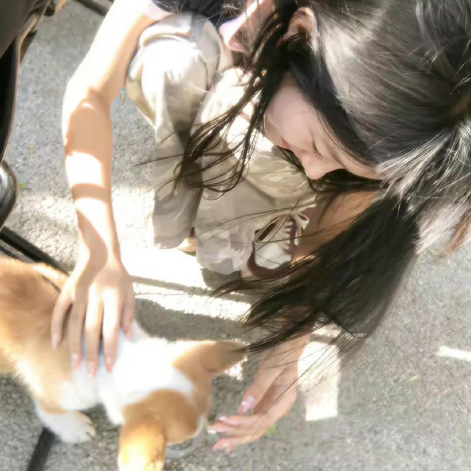 暴躁西兰花肘击愤怒西红柿