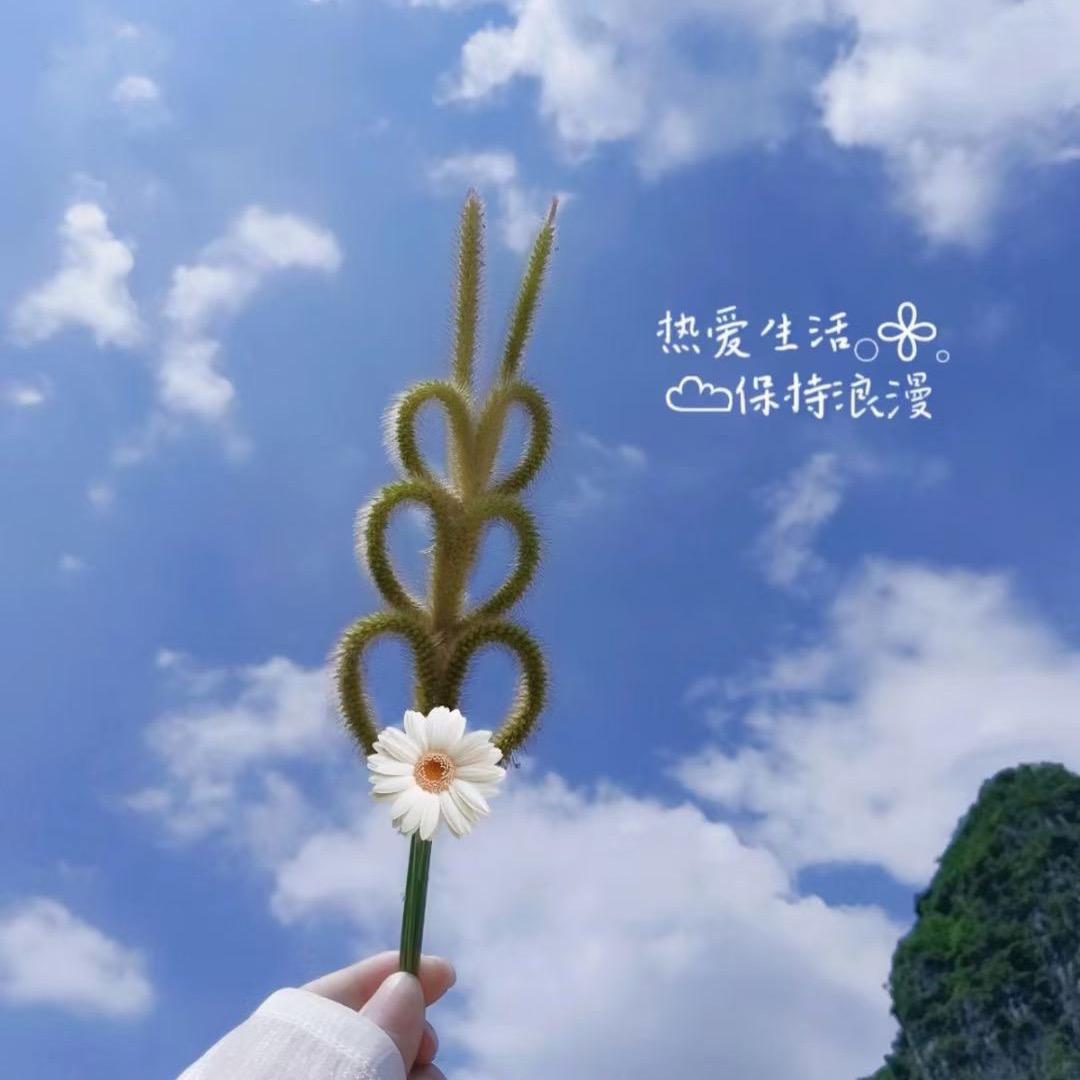 小太阳🥰🥰