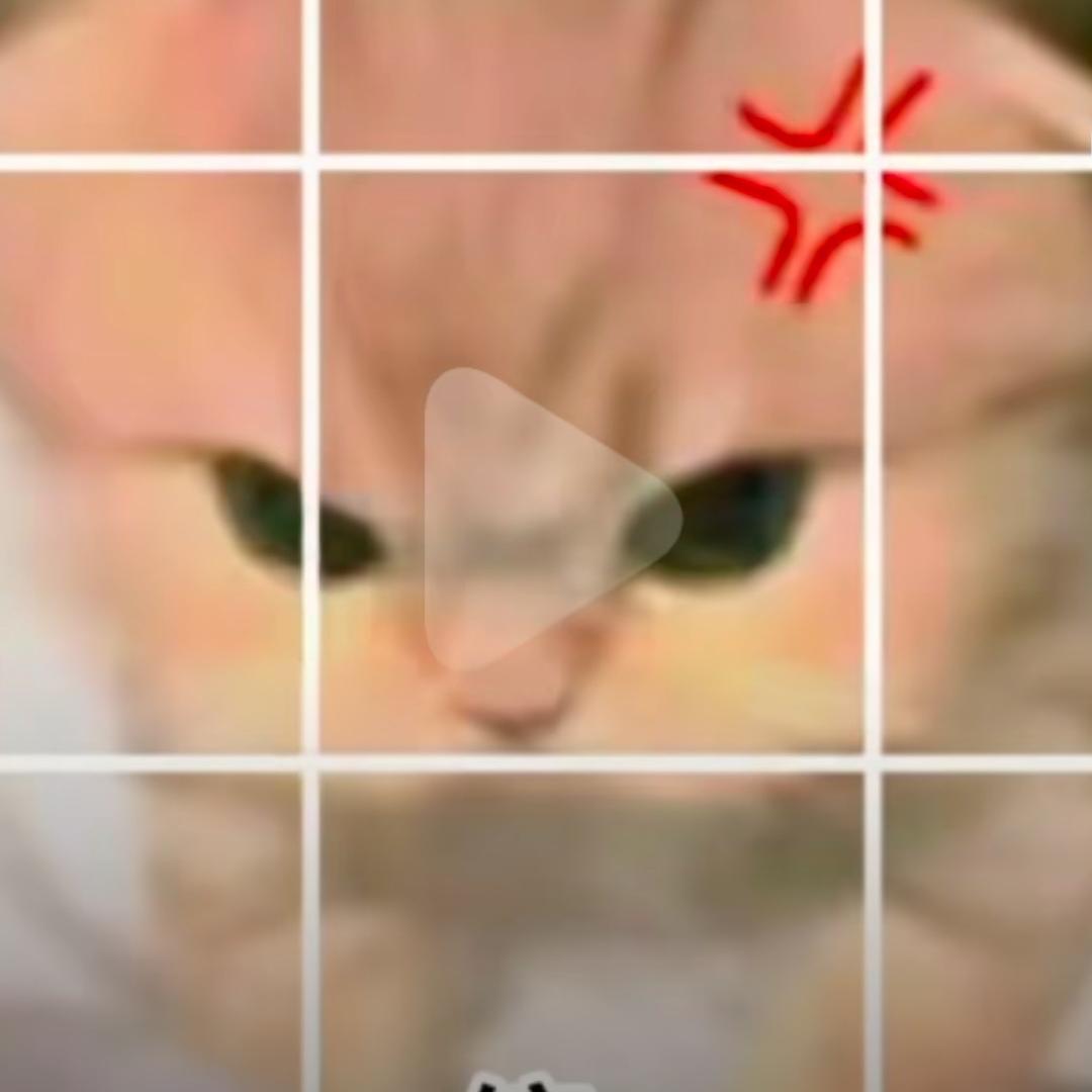（白）明月（爱）